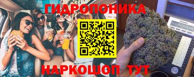 соль ск Пушкино