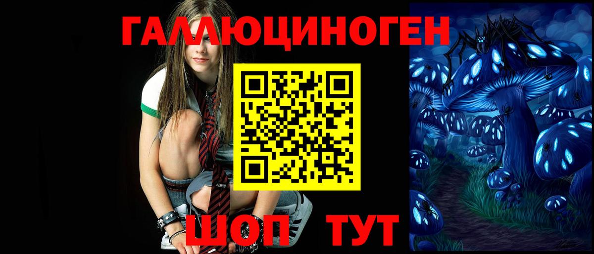 Псилоцибиновые грибы MAGIC MUSHROOMS  Вход с VPN  Прохладный 