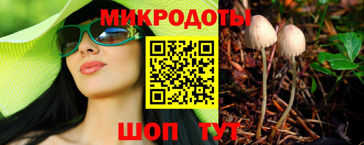 Псилоцибиновые грибы GOLDEN TEACHER Прохладный